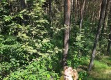 20210608_101424.jpg