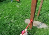 20210611_102526.jpg