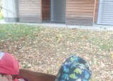 IMG_20231013_112026.jpg