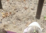 IMG_20231013_111109.jpg