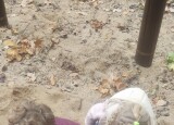 IMG_20231013_111108.jpg