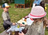 DSC_0516.JPG