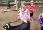 FarmaPark u Toma