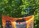 16.jpeg
